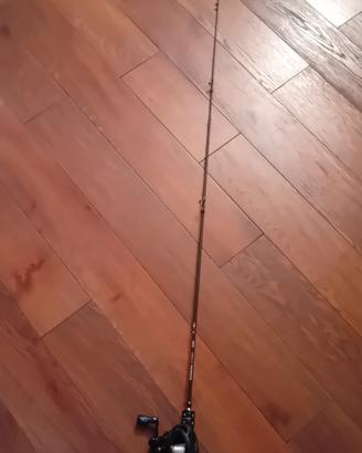 canna e mulinello da pesca casting