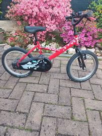 Bici bambino