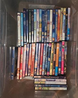 Collezione dvd usati