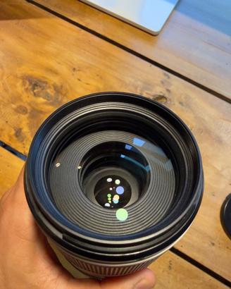 Canon RF 70-200mm f/2.8 L IS USM