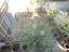 Immagine 26