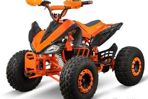 Quad Elettrico 1000W differenziale e freni a disco