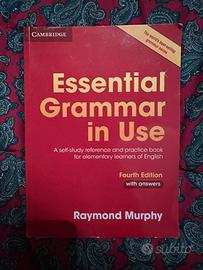 Essential Grammar in use