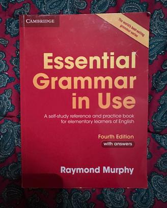 Essential Grammar in use