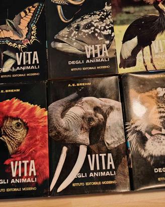 "Vita degli animali" - IEM 6 volumi vintage 1972