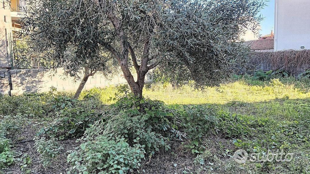 Casa Terrana con Terreno Edificabile Gravina - Vista 2