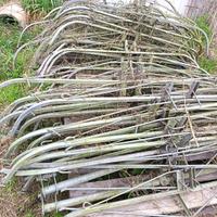 Braccetti per impianto Kiwi