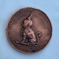 Medaglia 25 Risorgimento 1884