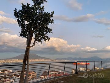 Bella stanza napoli chiaia monte di dio