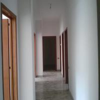 Appartamento uso ufficio