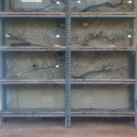 Voliera o Gabbia Cova