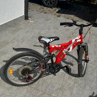 Bicicletta bimbo 20”