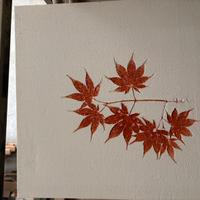 Quadro resina e cementino