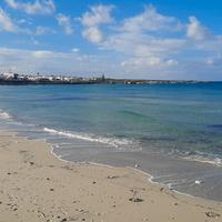 Impiegato d'ufficio - Supporto al Cliente