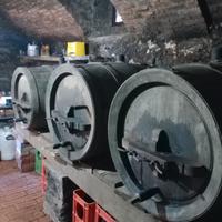 Botti in legno di castagno