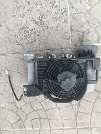 Radiatore SH 125 2010