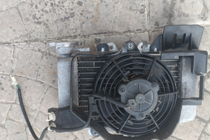 Radiatore SH 125 2010