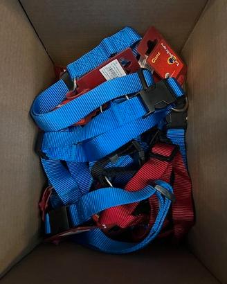 Collari nylon regolabili