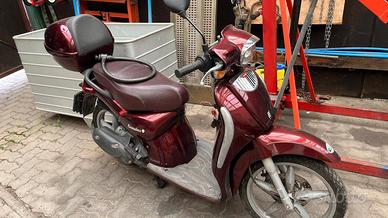 scooter scarabeo 