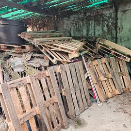 pallet Legna gratis solo ritiro 