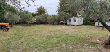 Terreno edificabile 1300 mq pianeggiante