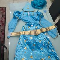 Costume di Carnevale Fata Turchina Donna tg. L/XL