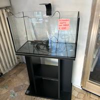 Acquario 60 litri con mobiletto
