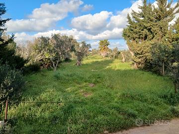 terreno panoramico 