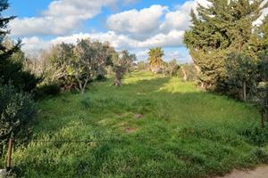 terreno panoramico 