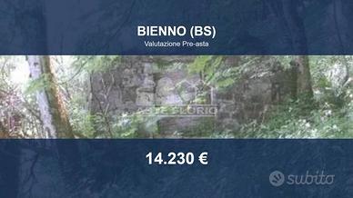 Immobile in asta di 11753 m² a Bienno