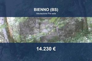 Immobile in asta di 11753 m² a Bienno