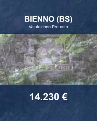 Immobile in asta di 11753 m² a Bienno