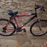 Bicicletta / Bicycle