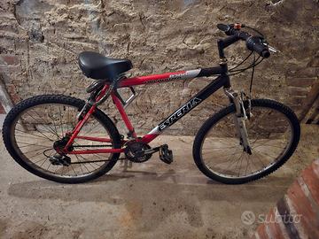 Bicicletta / Bicycle