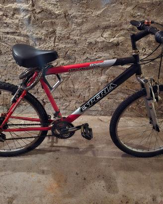 Bicicletta / Bicycle