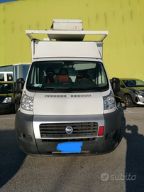 Vendita furgone ducato maxi allungato