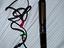 Immagine 3