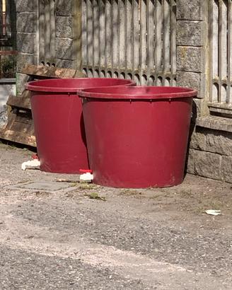 2 tini tinozze con rubinetto canestri 2ql