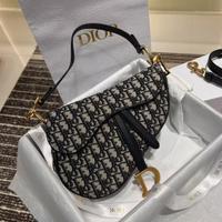 DIOR Saddle Oblique