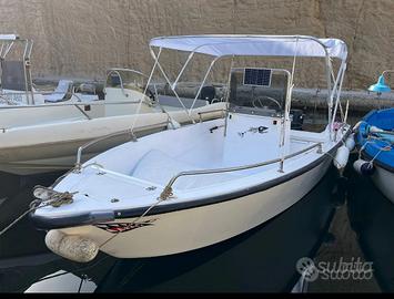 Barca 5 m con carrello non omologato