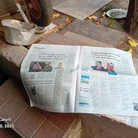giornali  mattino