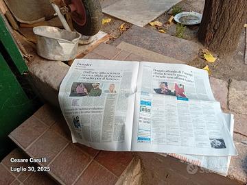 giornali  mattino