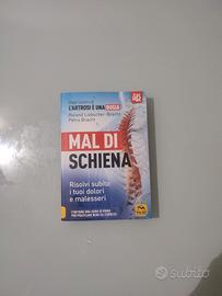 Libro sul mal di schiena di Roland Liebscher-Brach