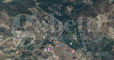 Terreno Agricolo San Basilio [Cod. rif 3244798VRG]