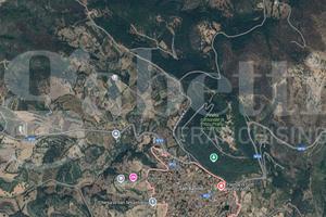 Terreno Agricolo San Basilio [Cod. rif 3244798VRG]