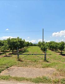 Terreno edificabile Produttiva, Artigianale
