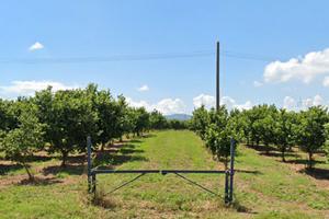 Terreno edificabile Produttiva, Artigianale