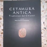 Cetamura antica, 2000