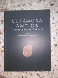 Cetamura antica, 2000