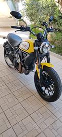 Ducati Scrambler 800 icon